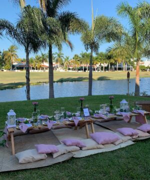 ¡¡¡PICNIC ROMÁNTICO!!!