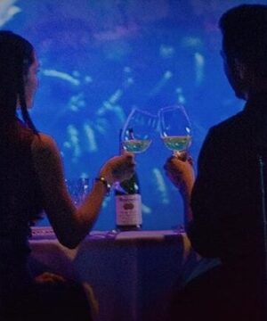 Gran Acuario de Mazatlán / Cena romántica