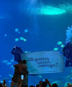 Pedida de Mano en Gran Acuario Mazatlán