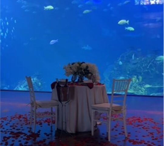 Gran Acuario de Mazatlán / Cena romántica