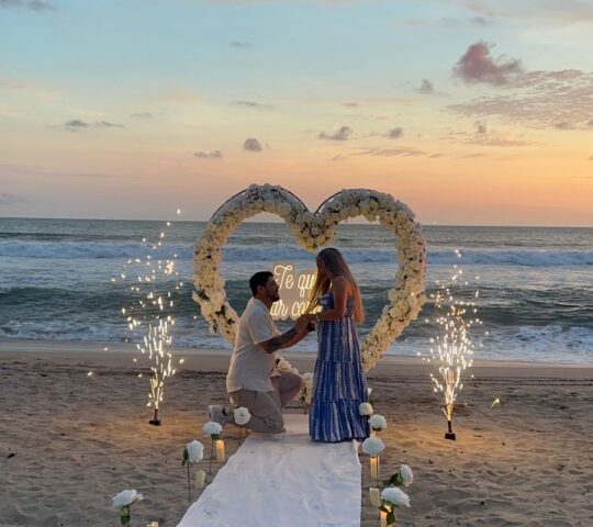 PICNIC FIESTA MAGICA PICNIC FIESTA MAGICA